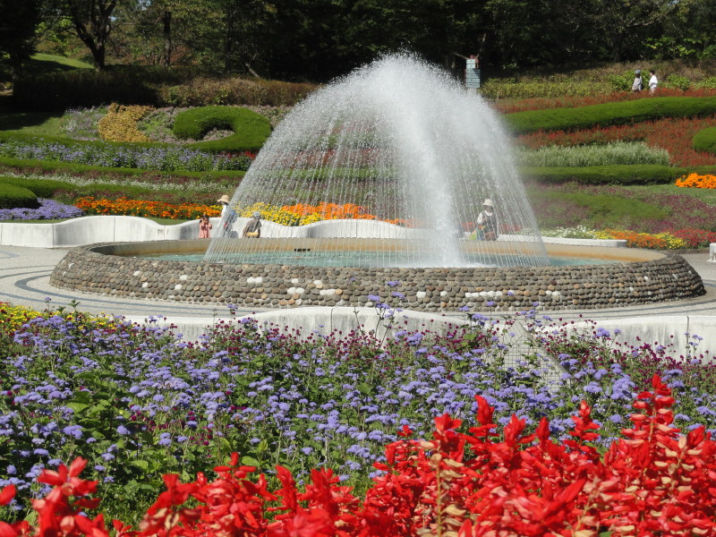 img0031.jpg
