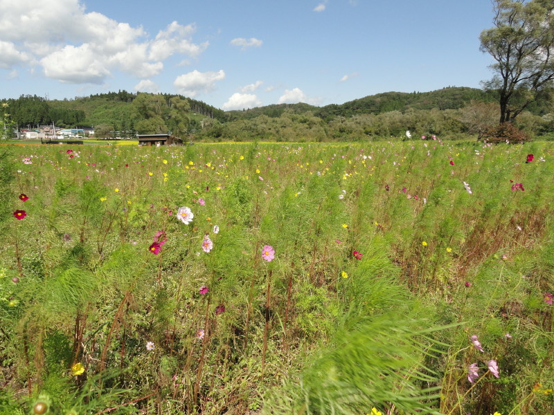 img0059.jpg