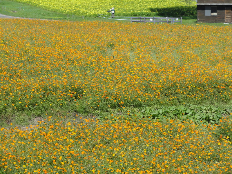 img0060.jpg