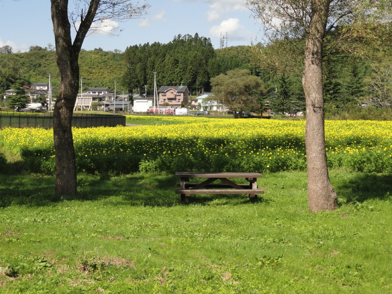 img0067.jpg