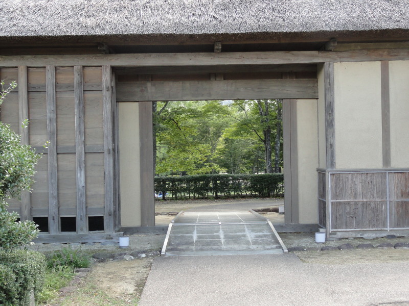 img0135.jpg