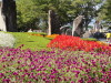img0019.jpg
