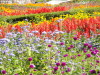 img0021.jpg
