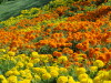 img0024.jpg