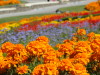 img0026.jpg
