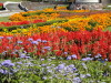 img0028.jpg