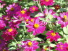 img0034.jpg