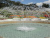 img0042.jpg