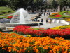 img0043.jpg