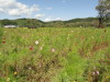 img0059.jpg