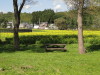 img0067.jpg
