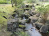 img0120.jpg