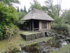img0122.jpg