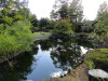 img0123.jpg