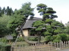 img0125.jpg