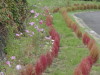 img0139.jpg