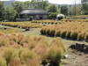 img0141.jpg