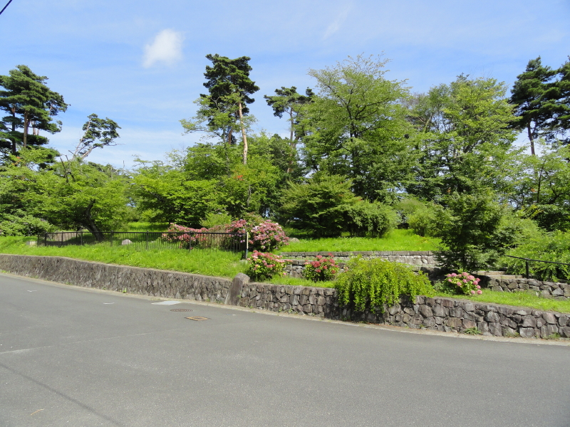 img0005.jpg