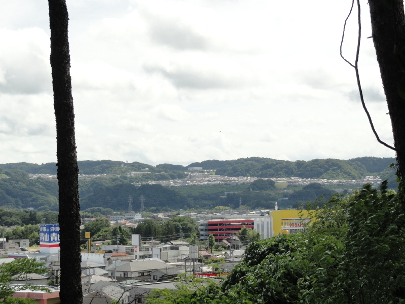 img0007.jpg