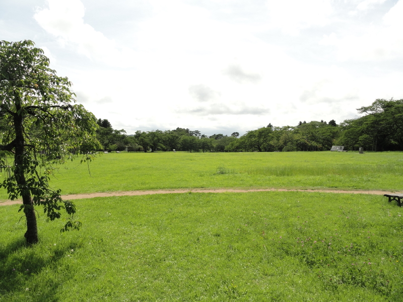 img0015.jpg