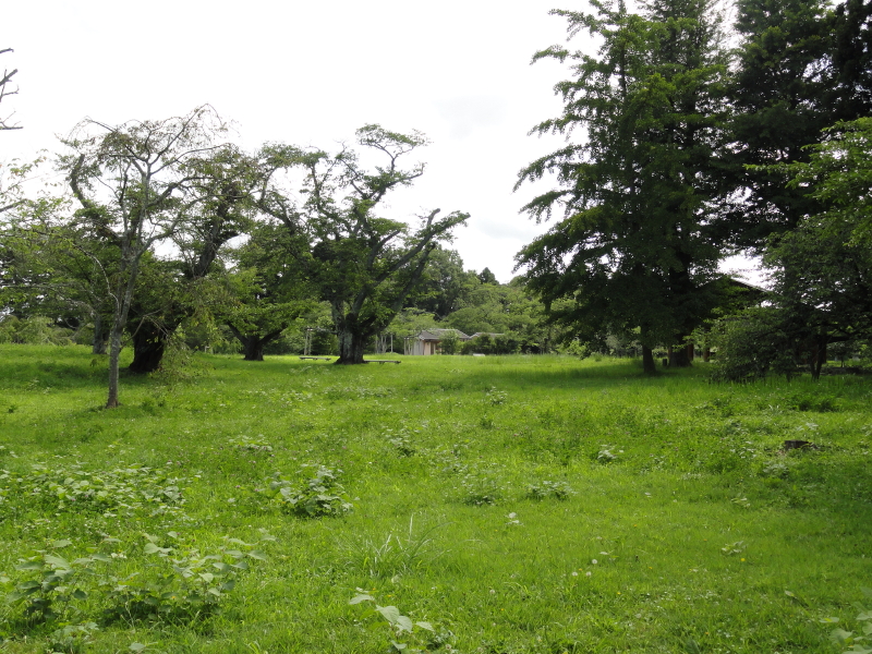 img0018.jpg