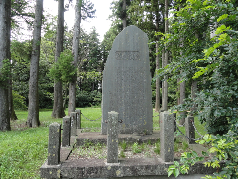img0019.jpg