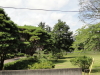 img0006.jpg