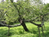 img0010.jpg