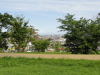 img0011.jpg