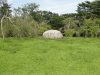 img0012.jpg