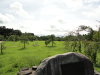 img0014.jpg