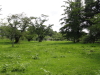 img0018.jpg