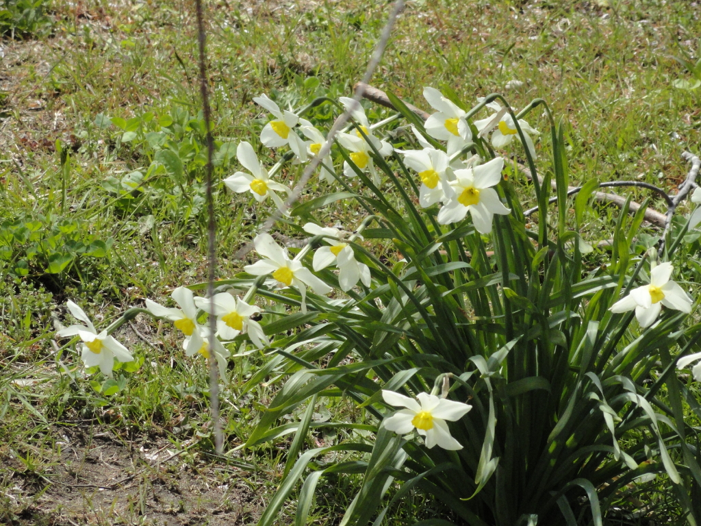 img0011.jpg