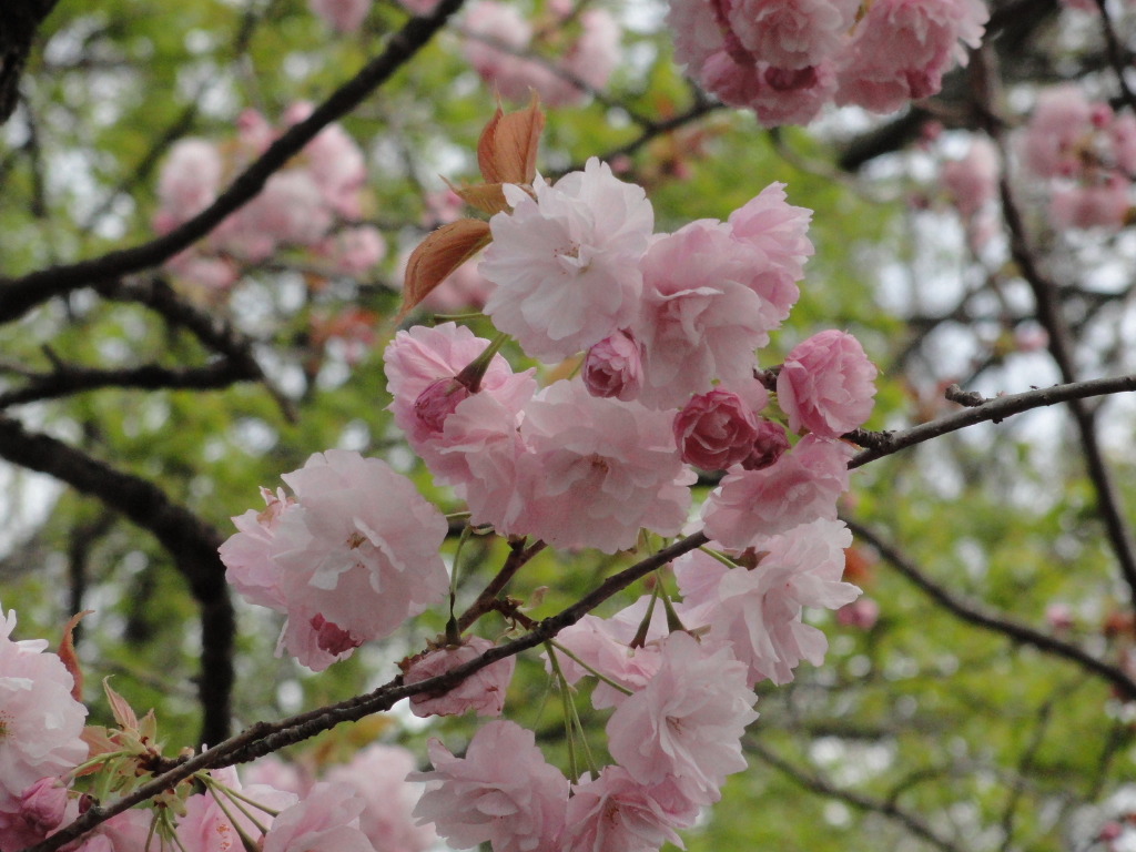 img0022.jpg