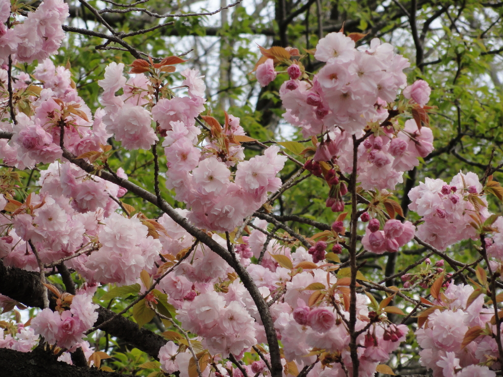 img0028.jpg