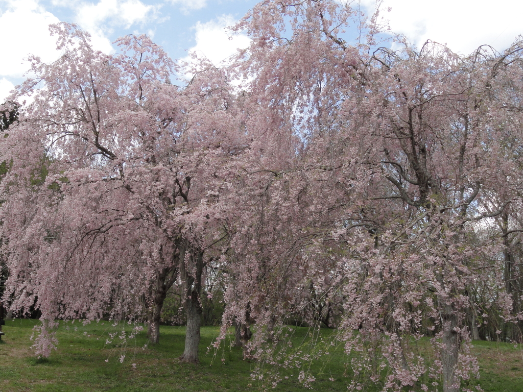 img0030.jpg