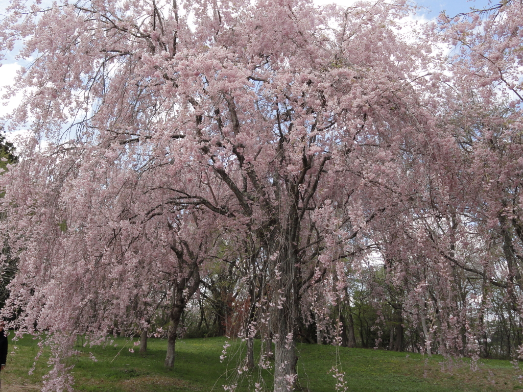 img0031.jpg