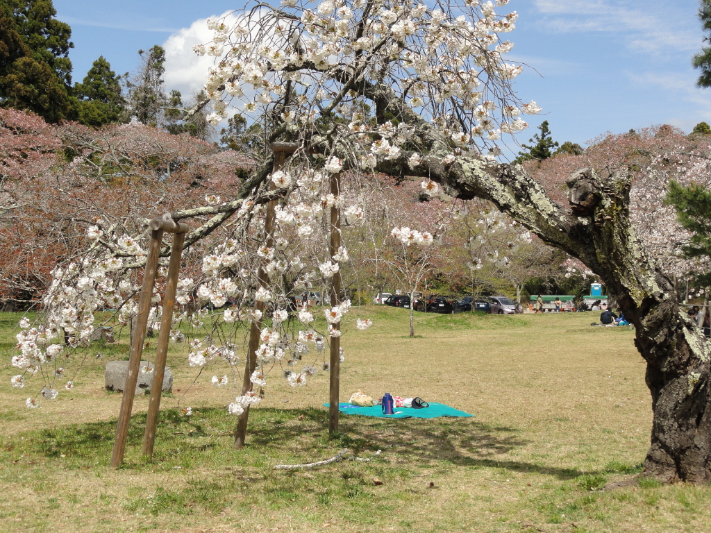img0035.jpg
