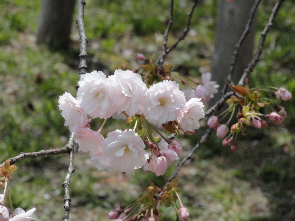 img0046.jpg