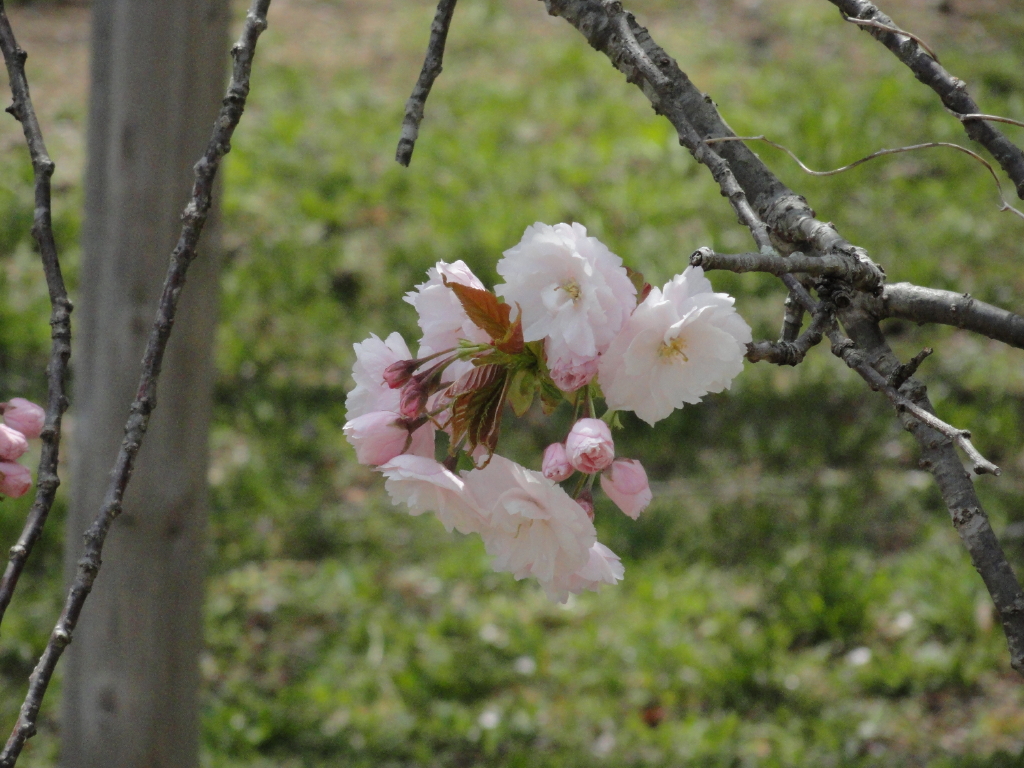 img0047.jpg