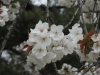 img0000.jpg
