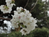 img0001.jpg