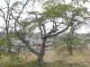 img0007.jpg