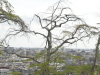 img0008.jpg