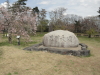 img0009.jpg