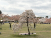 img0010.jpg
