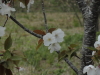 img0012.jpg