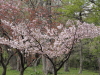 img0015.jpg
