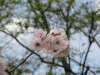 img0016.jpg