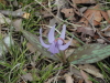 img0018.jpg